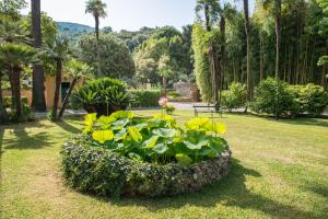 Zahrada ubytování Borgo Studiati Residenza d'Epoca
