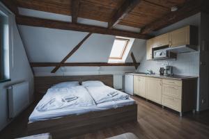 Kuchyňa alebo kuchynka v ubytovaní Apartmány Jurica Boží Dar 126