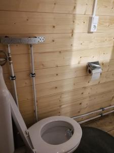 łazienka z toaletą z drewnianymi ścianami w obiekcie Almhütte Andrea w mieście Wildschönau