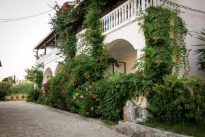 Fotografie z fotogalerie ubytování Leonidas Studios v destinaci Laganas