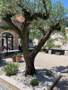 Zahrada ubytování B&b kleinen bosch