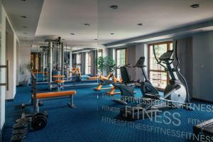 The fitness centre and/or fitness facilities at Hotel Troyer