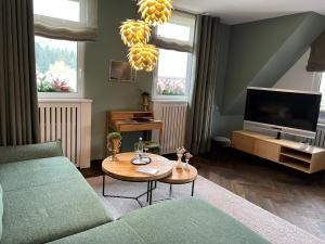 TV a/nebo společenská místnost v ubytování Hotel Schwarzwaldhof