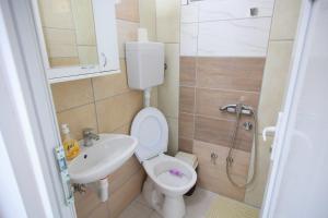 a small bathroom with a toilet and a sink at Apartman Rakić in Soko Banja