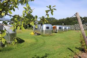 Gallery image of Amerikaanse Airstream voor 2 personen in Reutum