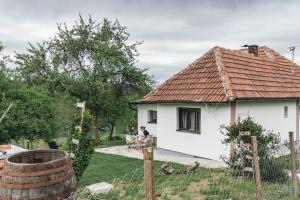 Imagem da galeria de JELA Countryside House em Kosjerić