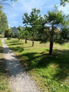 un camino de grava con árboles en un campo en Maisonnette en campagne "Le Rocher" en Vibraye