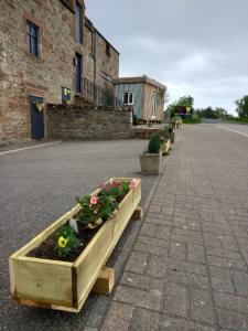 a row of wooden planters with flowers on a street at Full Pint in Tain