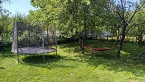 a hammock in the grass next to two trees at Breaza - Grădina Ascunsa in Breaza