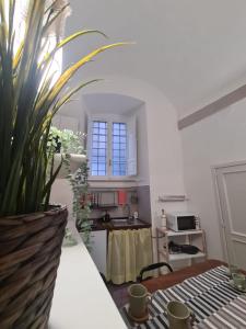 una cocina con una mesa con una planta en Casa dei Gigli, en Perugia