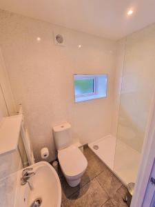 a bathroom with a toilet and a sink and a shower at Rabbits Warren, 2 Single Bed Holiday Let in The Forest of Dean in Blakeney