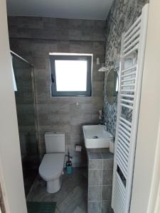 a bathroom with a toilet and a sink and a mirror at Andi's Studio Porto Rafti in Porto Rafti