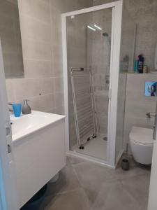 een badkamer met een douche, een wastafel en een toilet bij Superbe appartement avec vue sur le port et plage in Saint Pierre La Mer