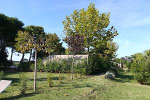 Zahrada ubytování Glamping Agricampeggio Tognoni