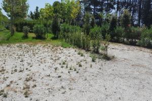 Zahrada ubytování Glamping Agricampeggio Tognoni