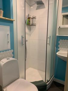 La salle de bains est pourvue d'une douche, de toilettes et d'un lavabo. dans l'établissement Apartment Sigulda, à Sigulda