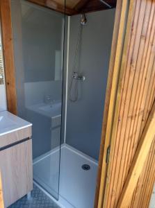 a shower with a glass door in a bathroom at Hébergement Insolite avec SPA - Foudrenlair in Bize-Minervois