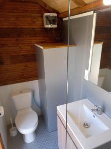 a bathroom with a toilet and a sink at Hébergement Insolite avec SPA - Foudrenlair in Bize-Minervois