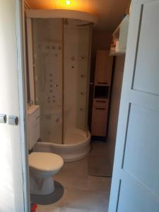 a bathroom with a shower and a toilet and a sink at Studio 2 ou 3 places in Verdun-sur-le-Doubs