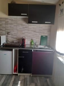 Dapur atau dapur kecil di Studio 2 ou 3 places