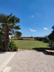 a park with a palm tree and a bench at B&B Il Giardino di Sophie in Villafranca di Forlì