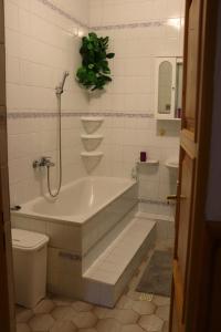 Ένα μπάνιο στο Apartman ViVi Pribylina