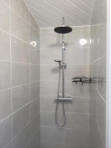 y baño con ducha con cabezal de ducha. en Studio Léonie, le cottage de l'étang en Le Tablier