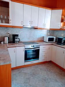 A kitchen or kitchenette at Niki House