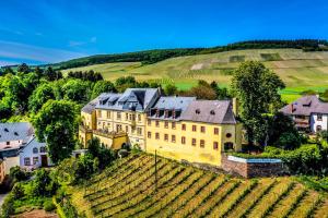 a large yellow building on a hill with vines at Tresorzimmer - Studio in Maring-Noviand