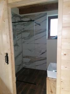 a bathroom with a shower with a glass door at Chatka pod Krzemienna in Cisna