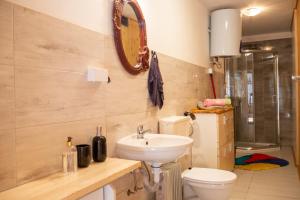 a bathroom with a sink and a toilet and a mirror at Ptasi Śpiew in Futoma