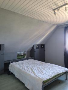 ein Schlafzimmer mit einem großen Bett im Dachgeschoss in der Unterkunft SD loggia in Wittisheim