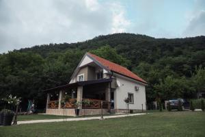 Pogled na planinu ili pogled na planinu iz vile