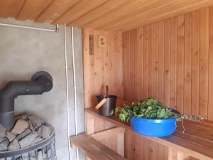 Fotografie z fotogalerie ubytování Jõesuu Home Accommodation v destinaci Purtsi