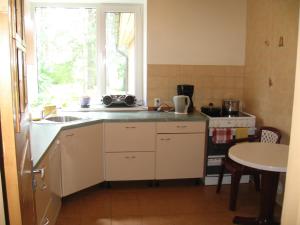 Kuchyň nebo kuchyňský kout v ubytování Jõesuu Home Accommodation + 18 fotografií