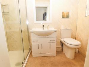 a bathroom with a toilet and a sink and a shower at Ty Uchaf in Rhyl +31 photos