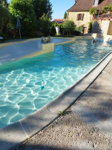 a swimming pool with a toy in the water at Stargazer Studio in Saint-Chamassy