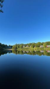 Vue sur un lac avec des arbres en arrière-plan dans l'établissement Chalet sur bord de l'eau, à Nontron