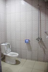a bathroom with a toilet and a shower at Airport View Hotel Songwe 