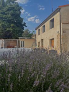 A garden outside 3 Lienzos
