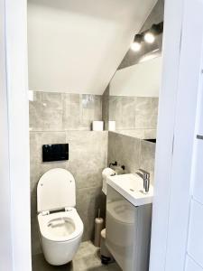 a bathroom with a toilet and a sink at AROMA DĘBKI Całoroczny prywatny dom na zamkniętym osiedlu. in Dębki