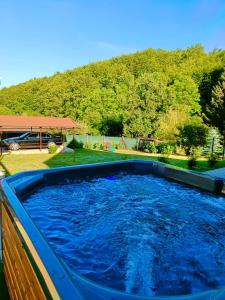 保拉德紹什瓦爾的住宿－Relax Wellness Apartman，庭院里一个蓝色水的大型小型游泳池