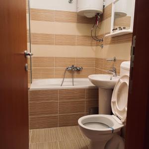 a bathroom with a toilet and a tub and a sink at Zora Apartment in Plužine