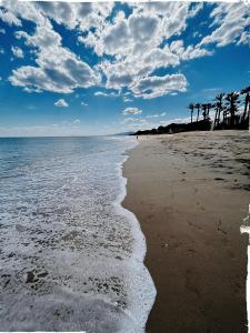 a beach with a few palm trees and the ocean at Cambrils140 in Cambrils