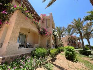 a house with flowers on the side of it at BLUE Lagoon View Resort & Spa in Marsa Alam City