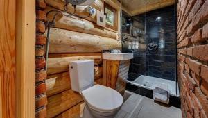 a wooden bathroom with a toilet and a shower at Dům a Dům Živohošť in Živohošť