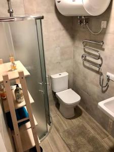 a bathroom with a toilet and a shower and a sink at Studija JV36 in Juodkrantė