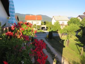 Zahrada ubytování Guest house Ruza