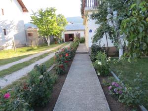 Zahrada ubytování Guest house Ruza