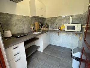 a small kitchen with a counter and a microwave at "Kubania" POKOJE GOŚCINNE in Mielno